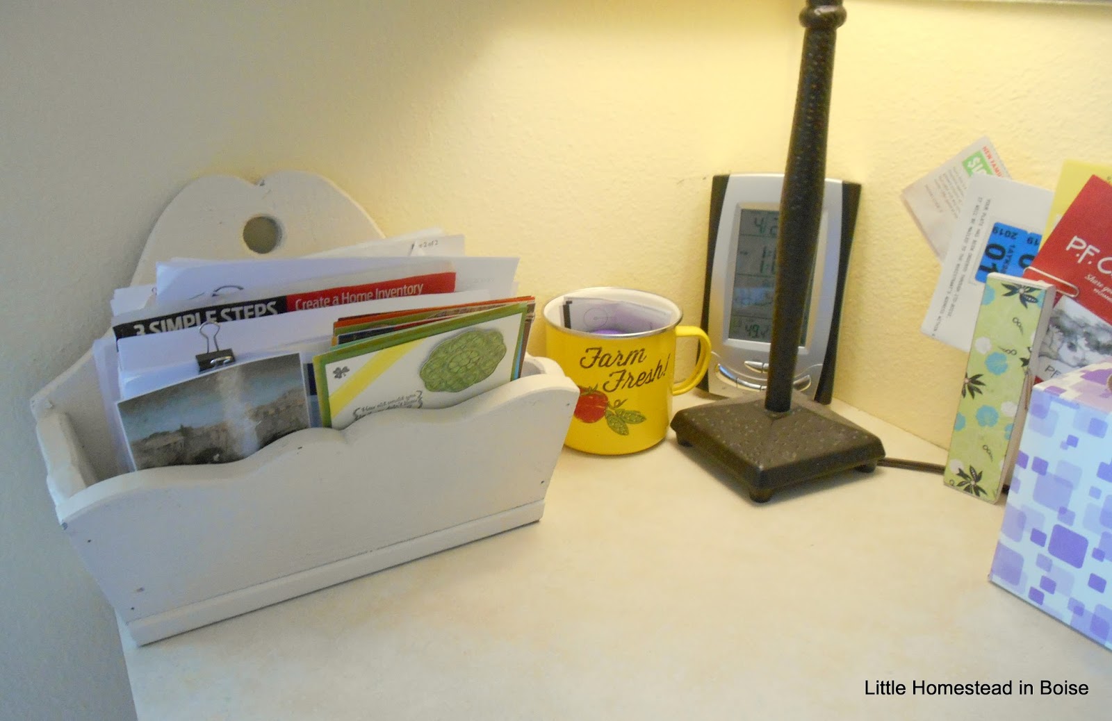 Little Homestead In Boise Powdered Milk Taste Test For Food Storage