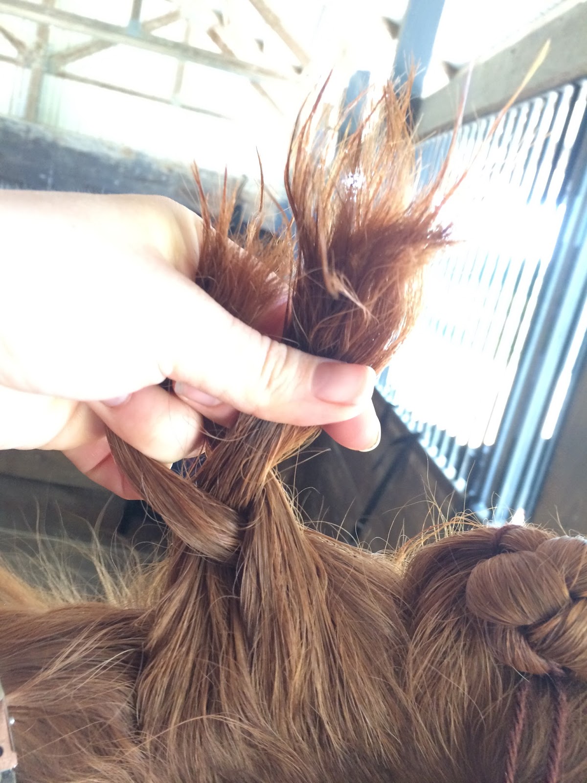 Guinness on Tap Fluffy Dutch Style Dressage Braids The Long Awaited