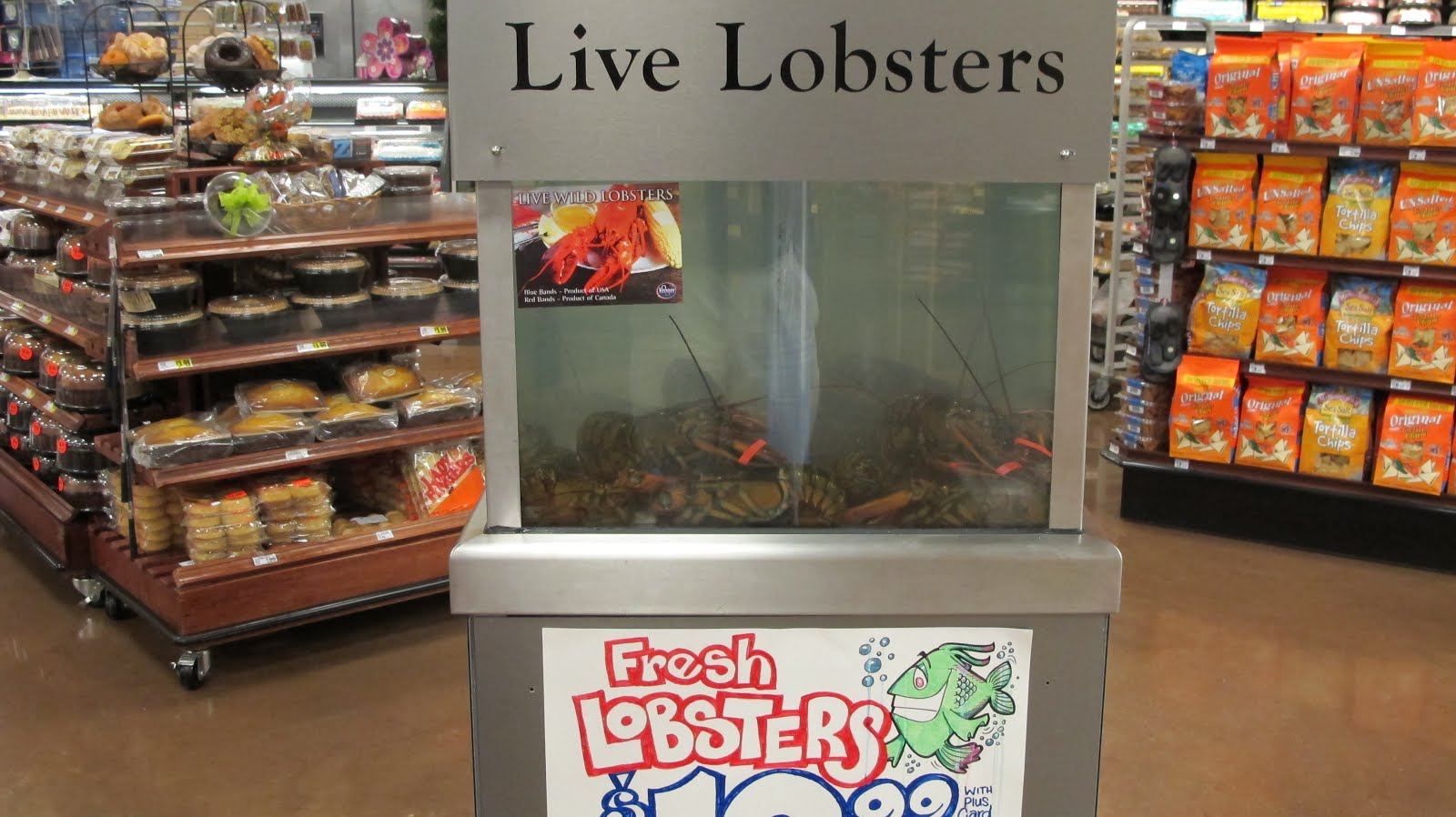 ifthethunderdontgetya™³²®© What's For Dinner?