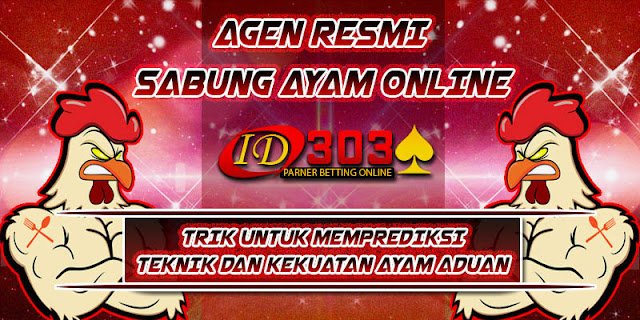TRIK UNTUK MEMPREDIKSI TEKNIK DAN KEKUATAN AYAM ADUAN ayambangkok asli, ciri sisik pukul mati, adu ayam birma, download video sabung bangkok, bangkok super jalu, jalu super jahat, bentuk jalu mematikan, video jago tarung lengkap, video sabung bangkok, tarung bangkok pukul mati, bangkok super purwokerto, video tarung bebas sampai mati, adu jago birma, adu jago bangkok super, ayamlaga pukul mati 2014, mantra adu jago, bangkok aduan super, tarung jago birma, birma super jalu, blorok madu pukul mati, adu jago sampai mati, adu jago bangkok pukul mati, video adu jago, pakhoy ori, jalu renteng 3, cara meruncingkan jalu, pakoy top the best, adu ayam filipina, video ayam bertarung sampai mati, bangkok super cup 2015, adu ayam 2016, adu ayam bangkok super jalu, adu ayam betet, adu ayam bangkok di thailand, adu ayam bangkok terbaru, adu ayam bangkok youtube, adu ayam jago sampai mati, adu ayam laga, adu ayam sabung, adu ayam siam, adu ayam bangkok pukul ko, adu ayam sadis, adu ayam 5, adu ayam bali indonesia, adu ayam bangkok asli thailand, adu ayam bangkok ko, adu ayam bangkok muda, adu ayam bangkok terbaru 2015, adu ayam jawa