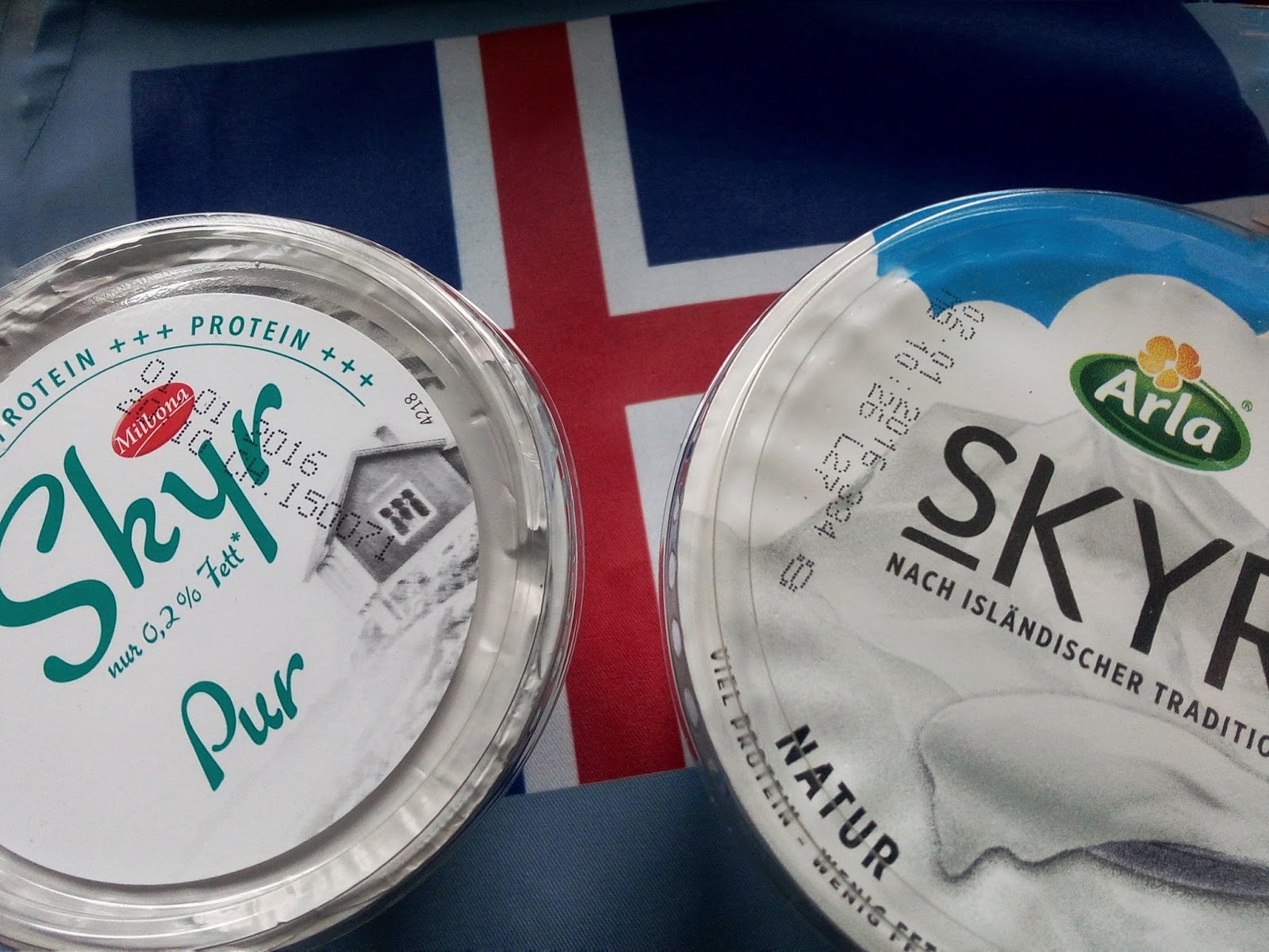 IslandFan Kochbuch Skyr die Grundlagen III