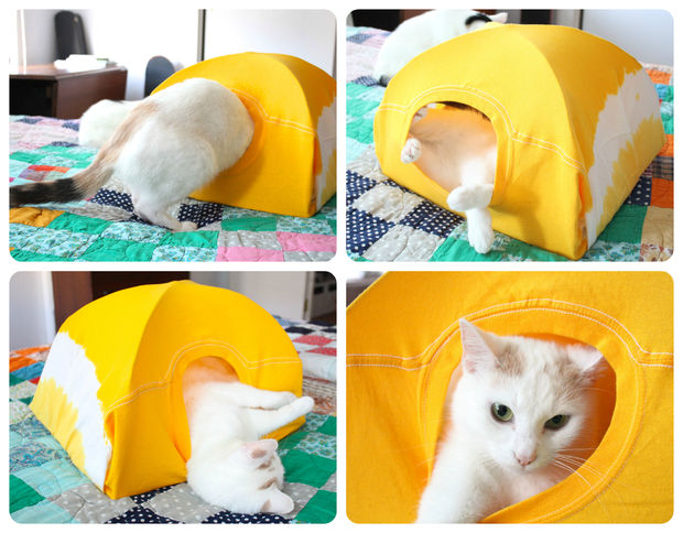 http://diycattoys.com/diy-cat-toys-furniture/diy-cat-toys-furniture-kitty-tent-299.html