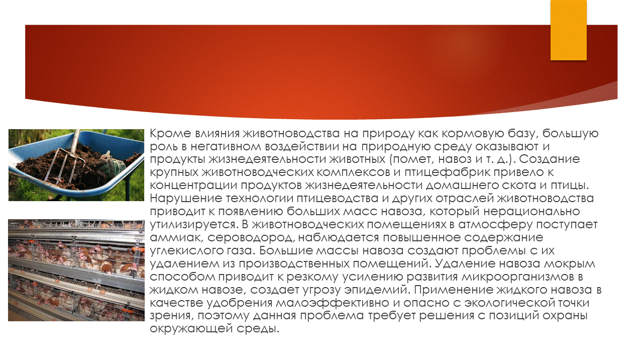 антибиотики в животноводстве и ветеринарии. направления охраны окружающей среды. влияние животноводства на природу. непереработанные отходы животноводческих комплексов. охрана окружающей среды в животноводстве.