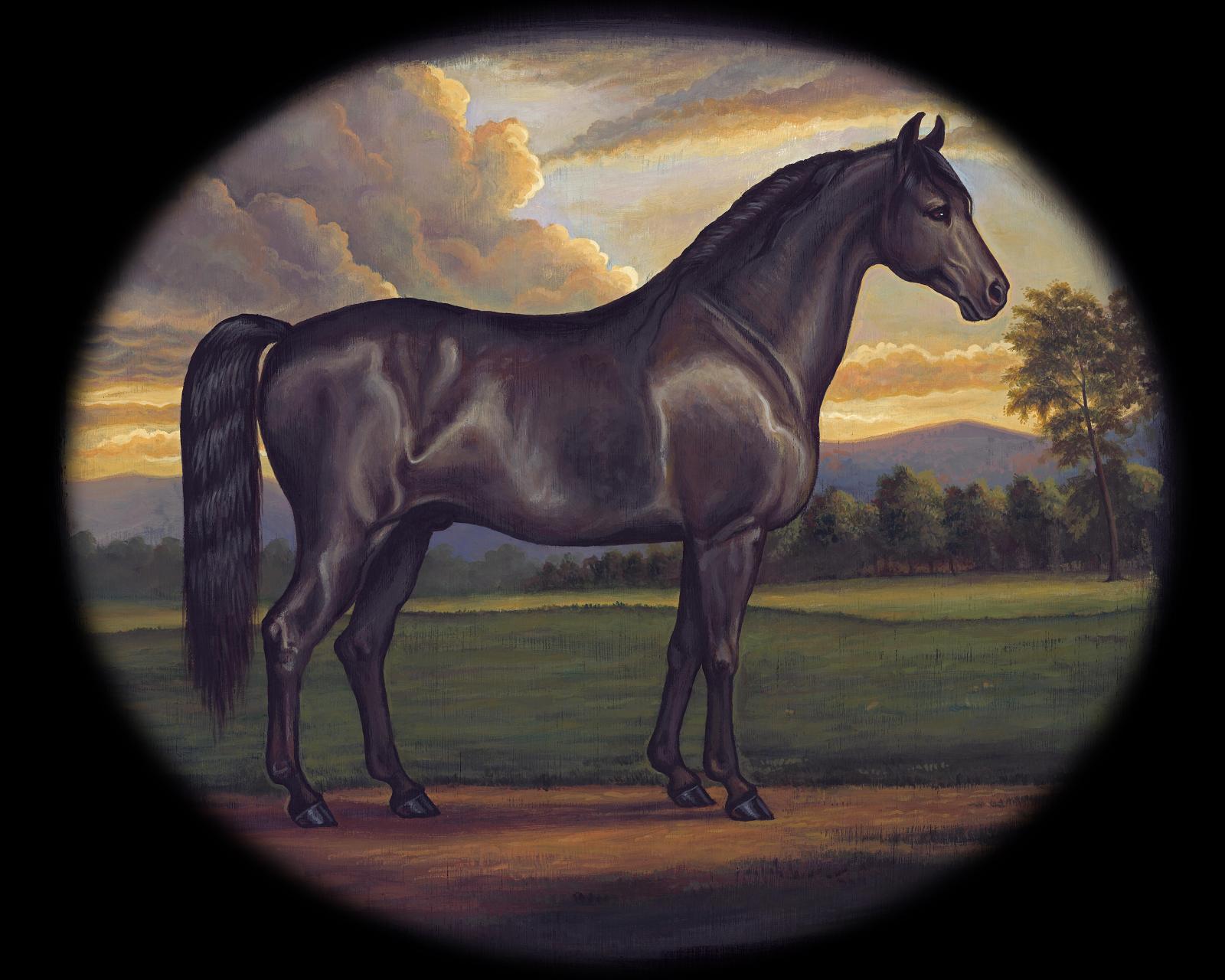 Benjamin Iocco Studios Horse & Merino Sheep