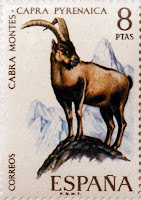 CABRA MONTES CABRA MONTES