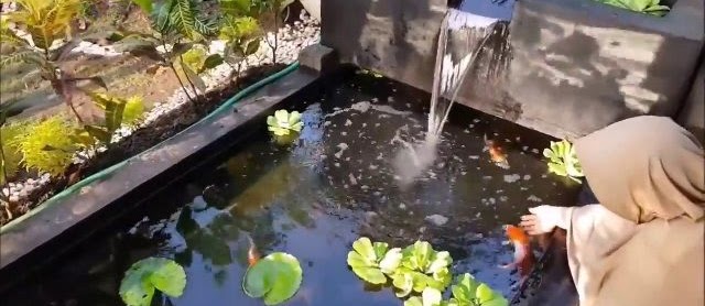 Contoh Galeri dan Foto Kolam Koi Minimalis Sederhana Depan Rumah