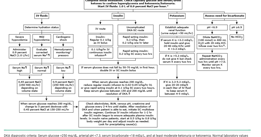 Medical Outlines: Dka and hss Algorithm
