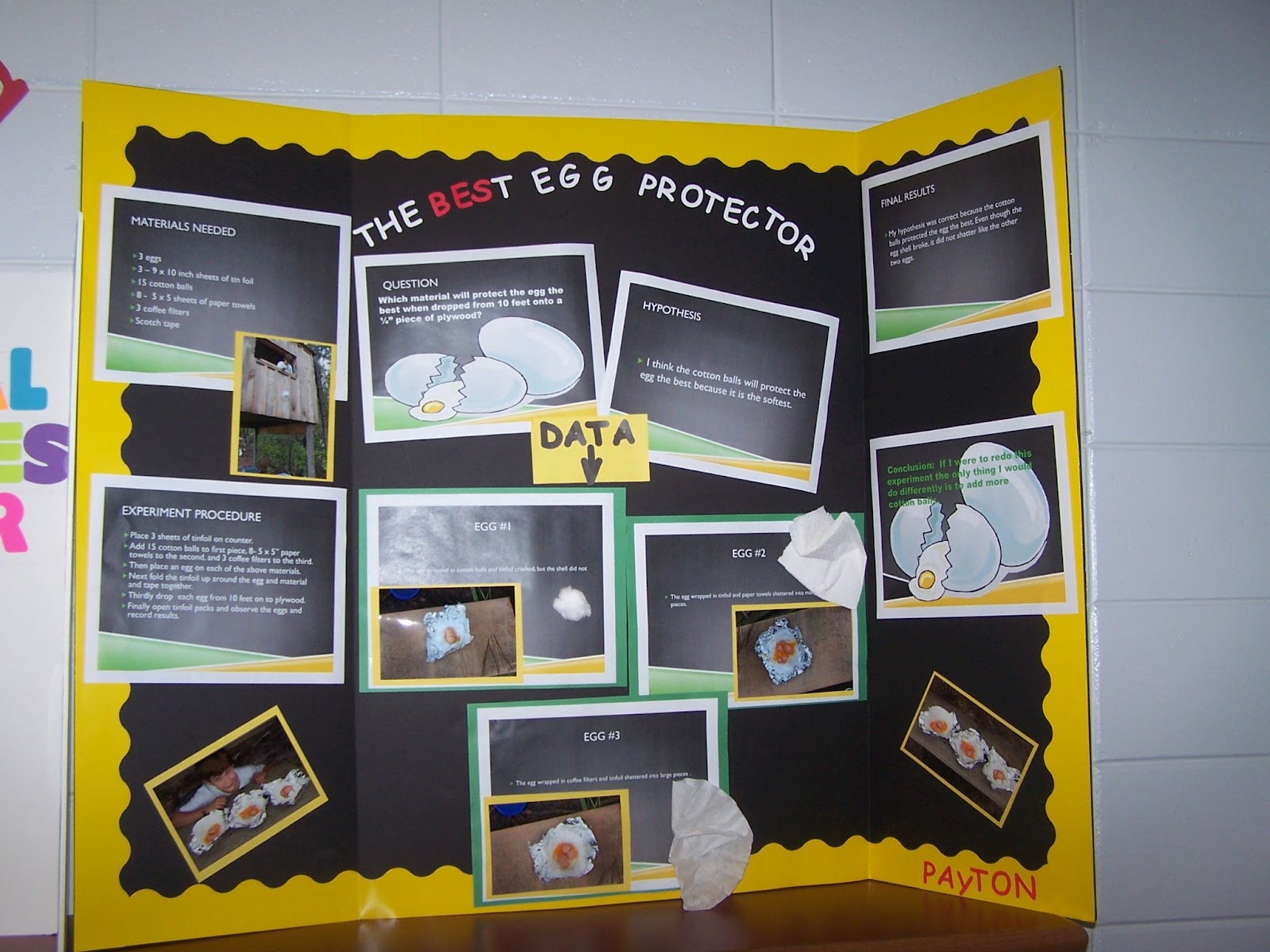Flashy Fifth Graders: Science projects...everywhere!!!