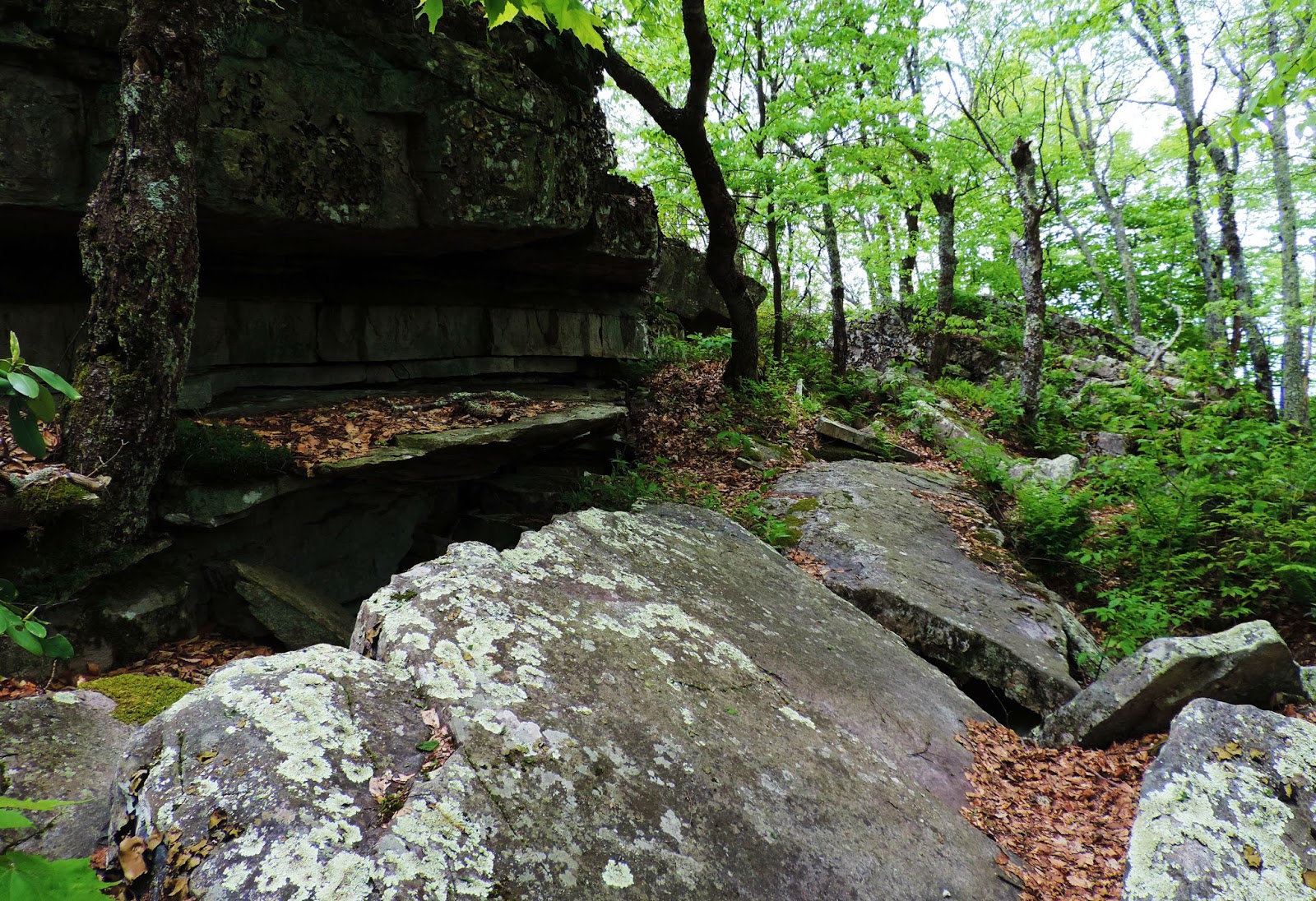 Far Outside the Wire Hidden Valley Lake & Brumley Mountain, VA