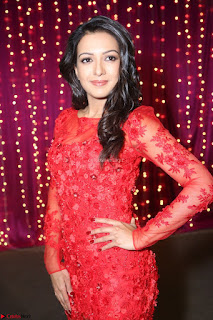 Catherine Tresa in red transparent gown at Zee Telugu Apsara Awards 2017 08