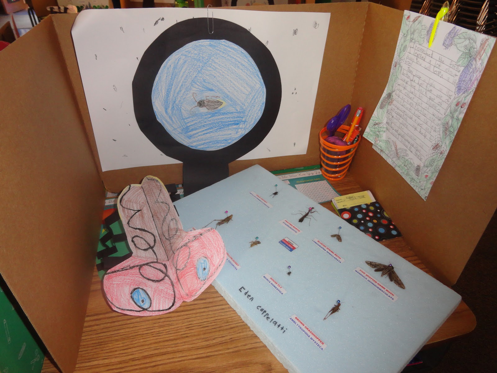 Adventures in Third Grade: Welcome to Our Insect Parade