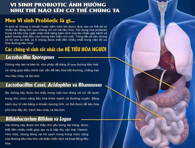 Thành phần chính trong thuốc uống Probio White Thành phần chính trong thuốc uống Probio White