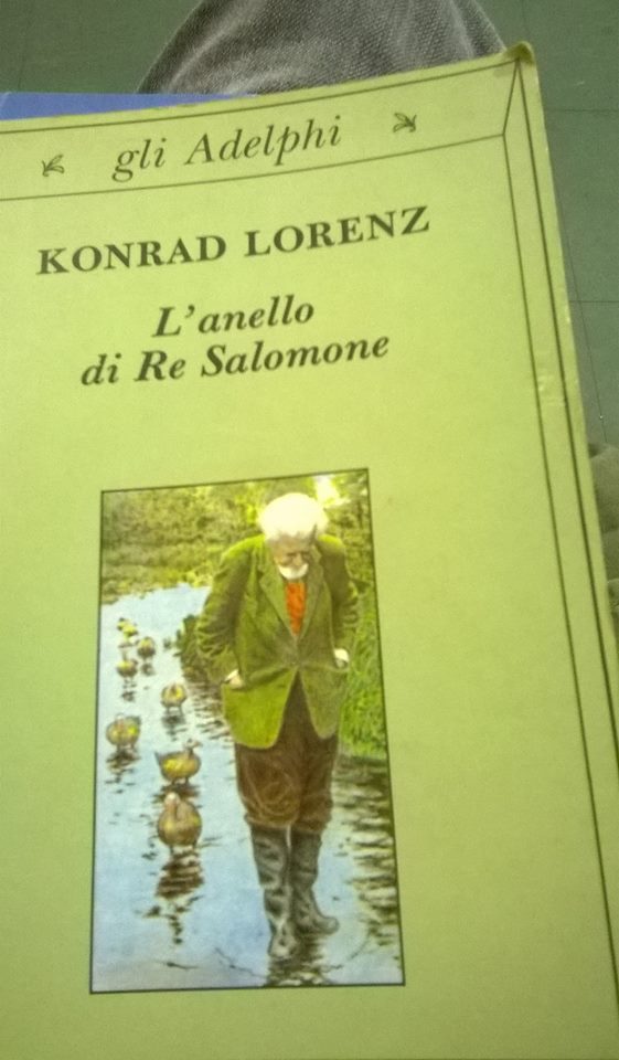 Sul filo delle parole Konrad Lorenz