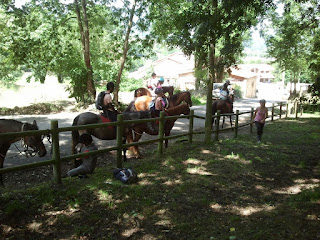 Paseos a caballo Centro Ecuestre La Espina