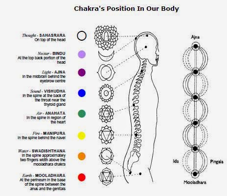The Chakras in the Human body ~ Stapathi Yogic Science
