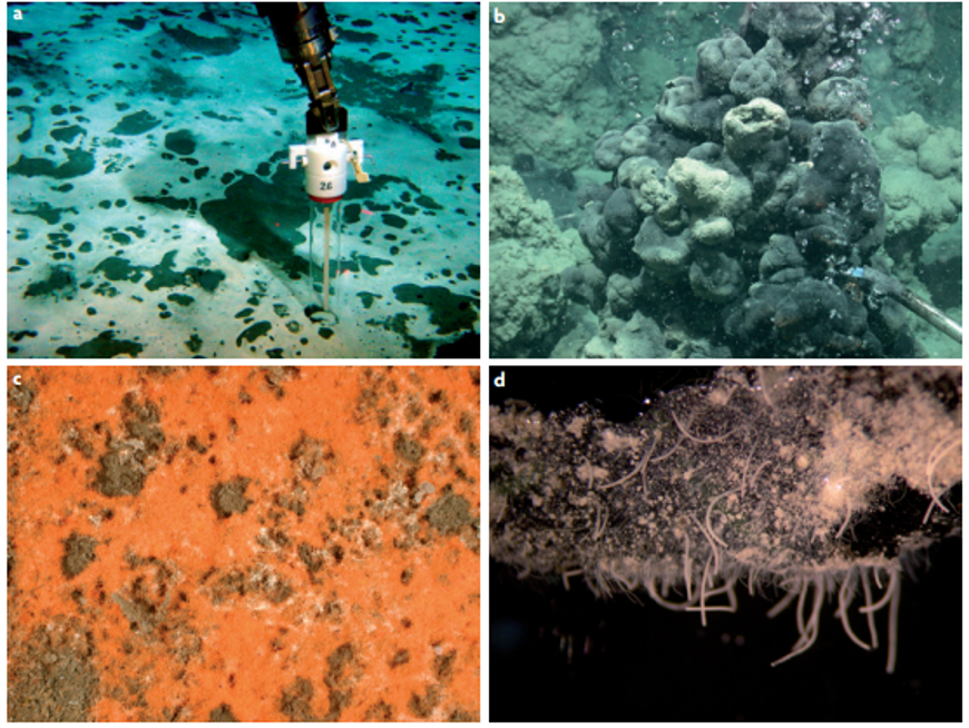 Microbial mysteries on deep sea