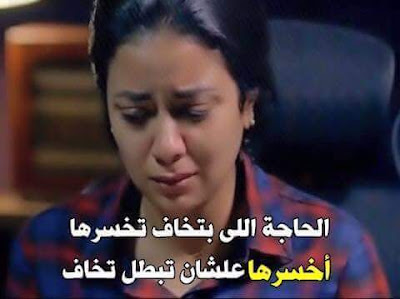 shof_334e681d35ac6b2