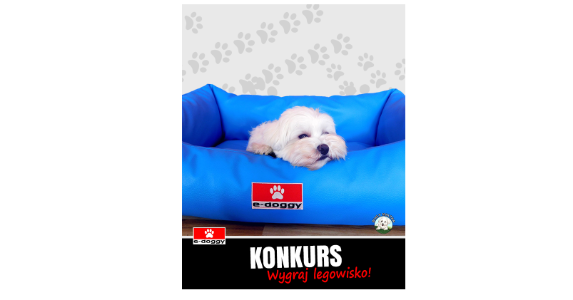 Do wygrania legowisko dla psa w dowolnym kolorze! Konkurs