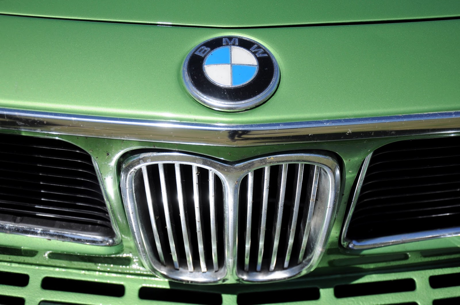 doppelniere Germany News Collections