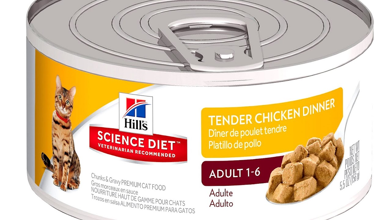 Vet Recommended Wet Cat Food Cat Choices
