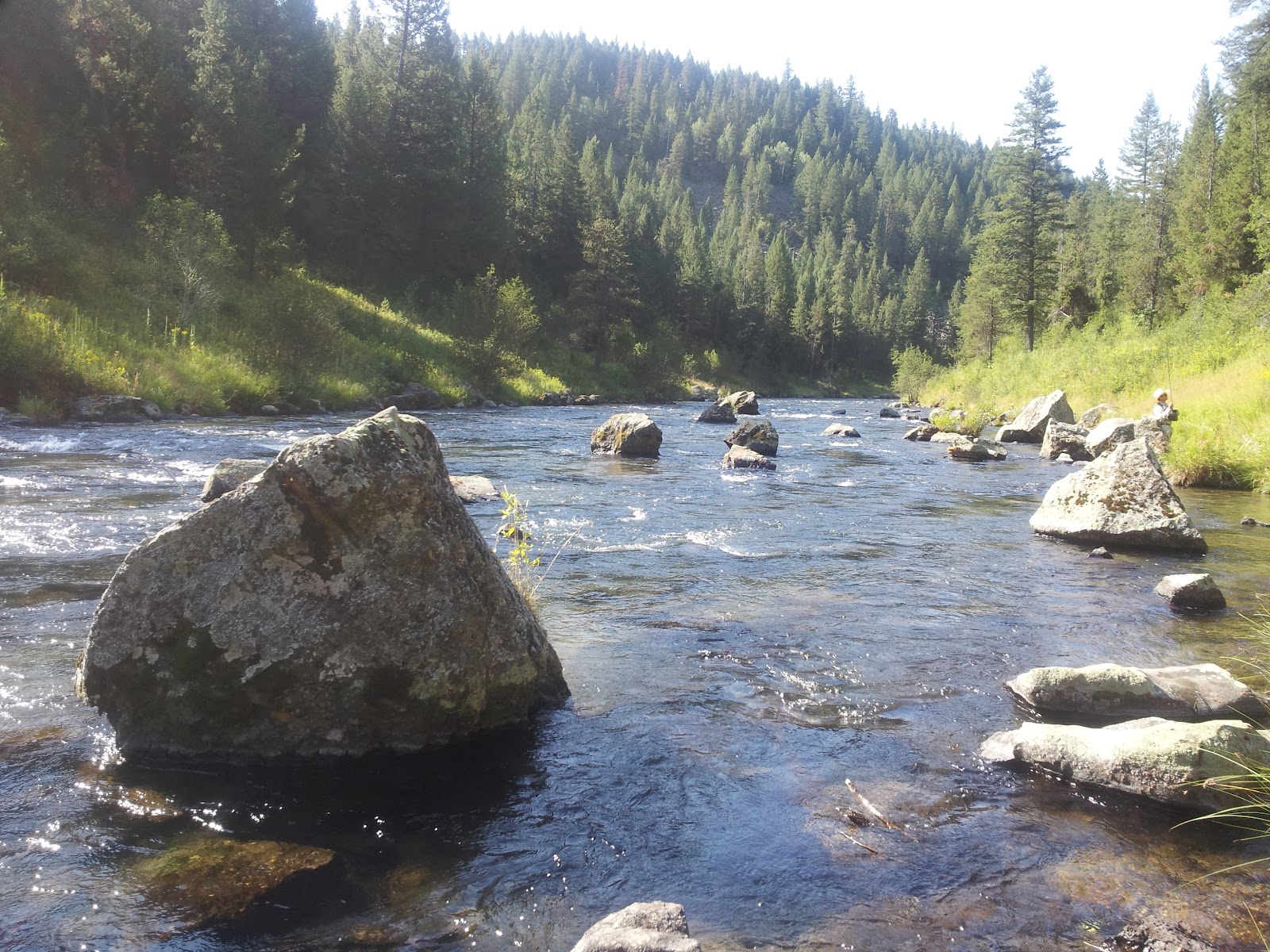 Idaho Fly Fishing