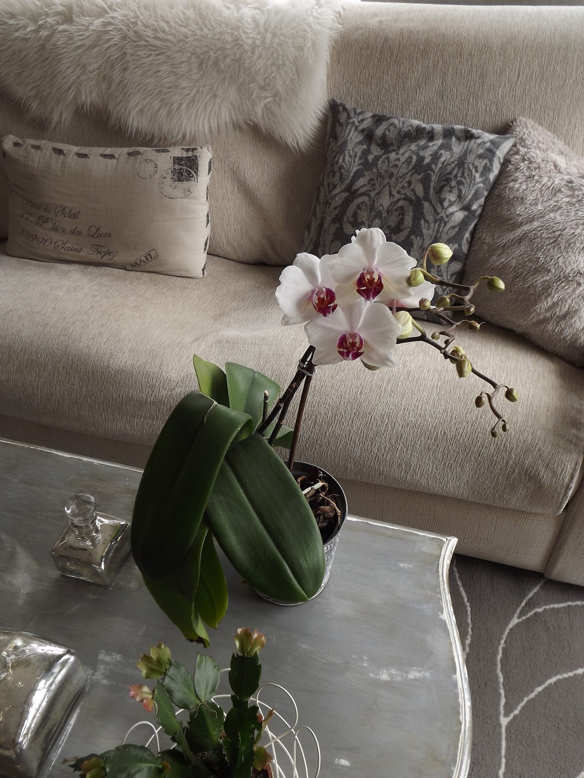 Un vergel en la ciudad Mis 40 y tantos...