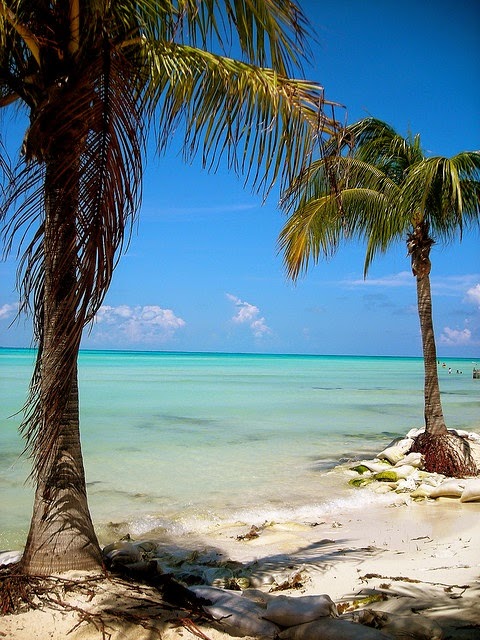 beautiful beach Cancun