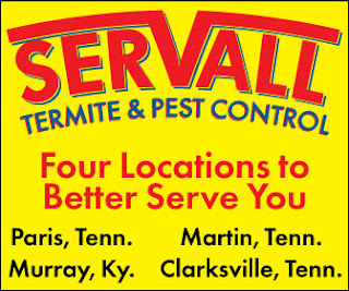 Servall Pest Control: Q&A with Servall Pest Control!