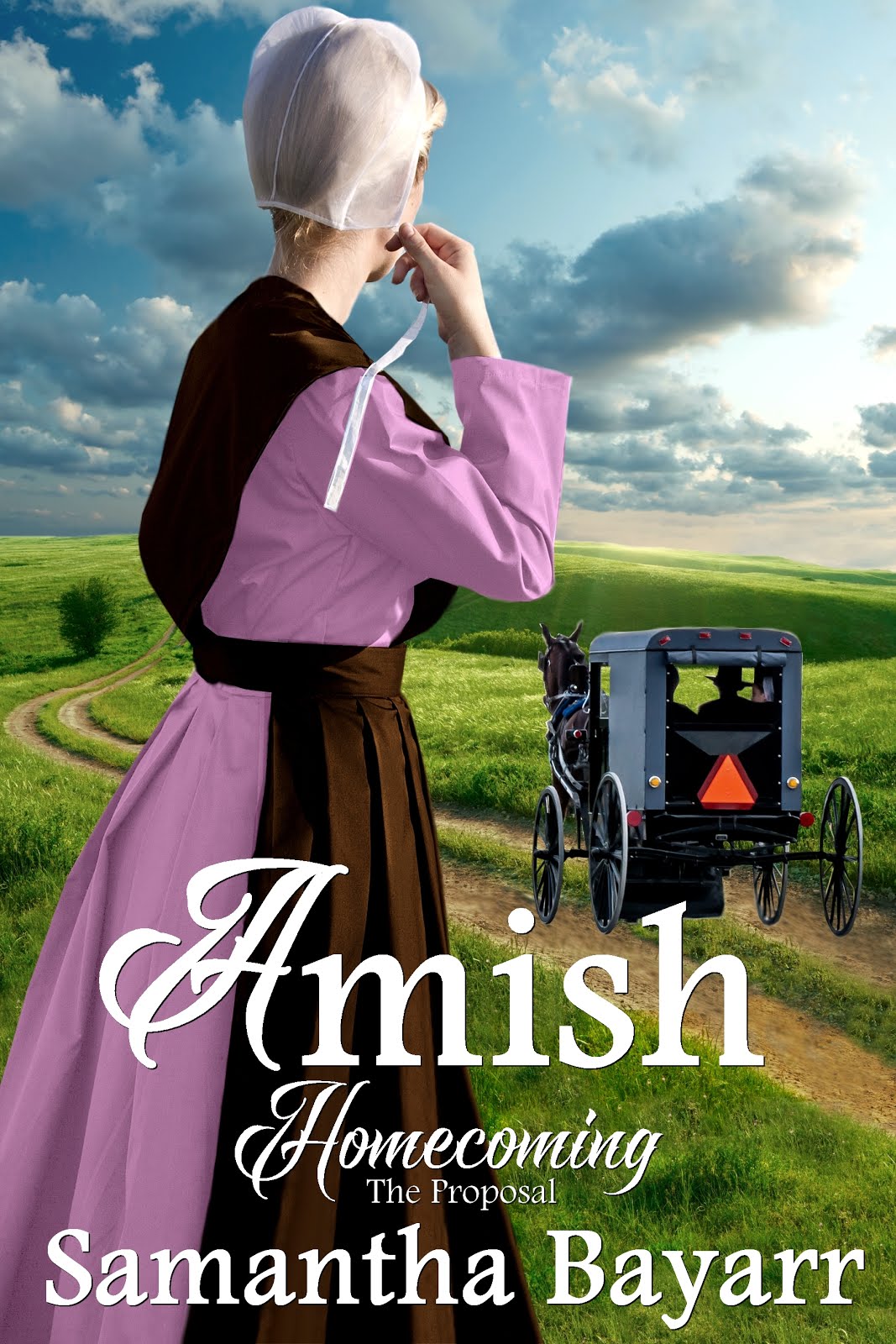 Amish Homecoming: The Proposal