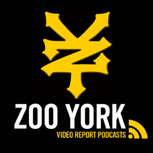 Zoo York Yellow and Black Logo