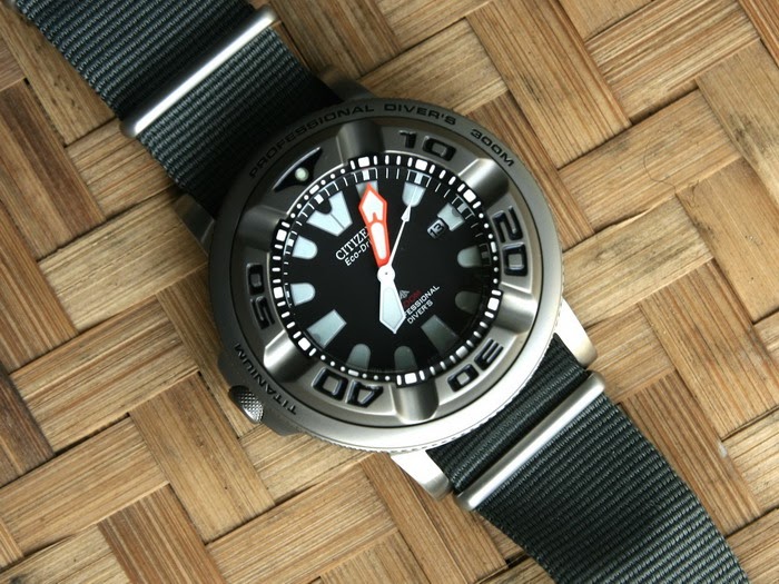 ecozilla titanium