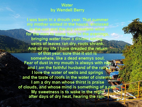 Water Pollution Poems 15