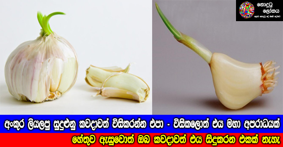 Share