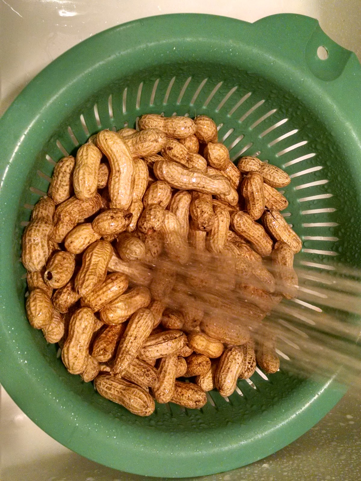 Must Run in the Family Boiled Peanuts and Coke & Peanuts