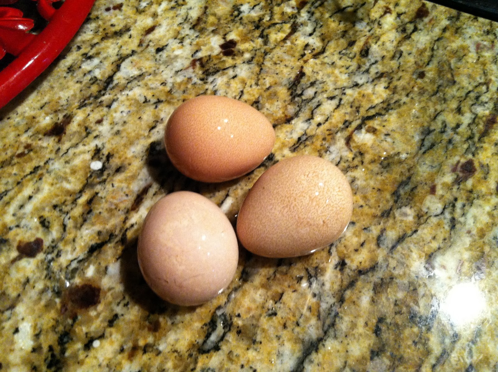 Mary Ann's Country Garden Guinea Eggsa Taste Test