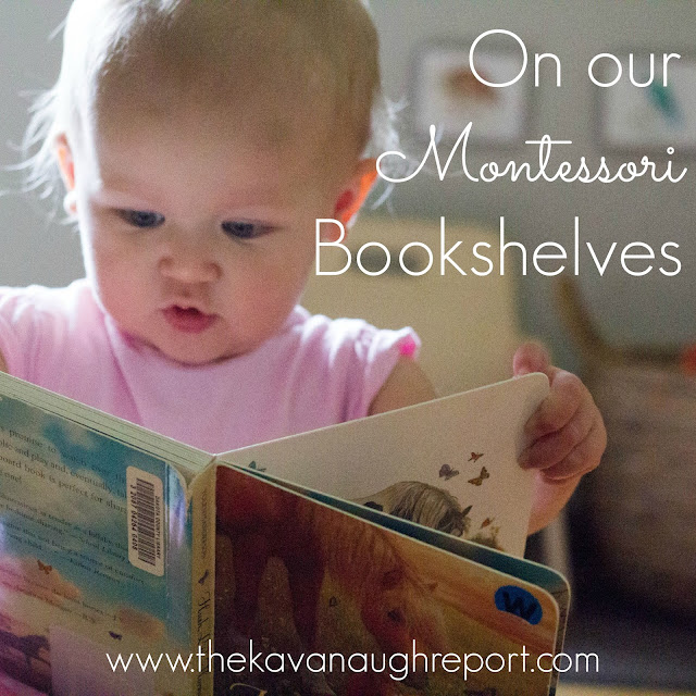 On Our Montessori Bookshelves