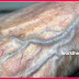 YOU EXPERIENCE BAD CIRCULATION AND COLD HANDS AND FEET? HERE’S WHAT YOU CAN DO TO SOLVE THIS PROBLEM!