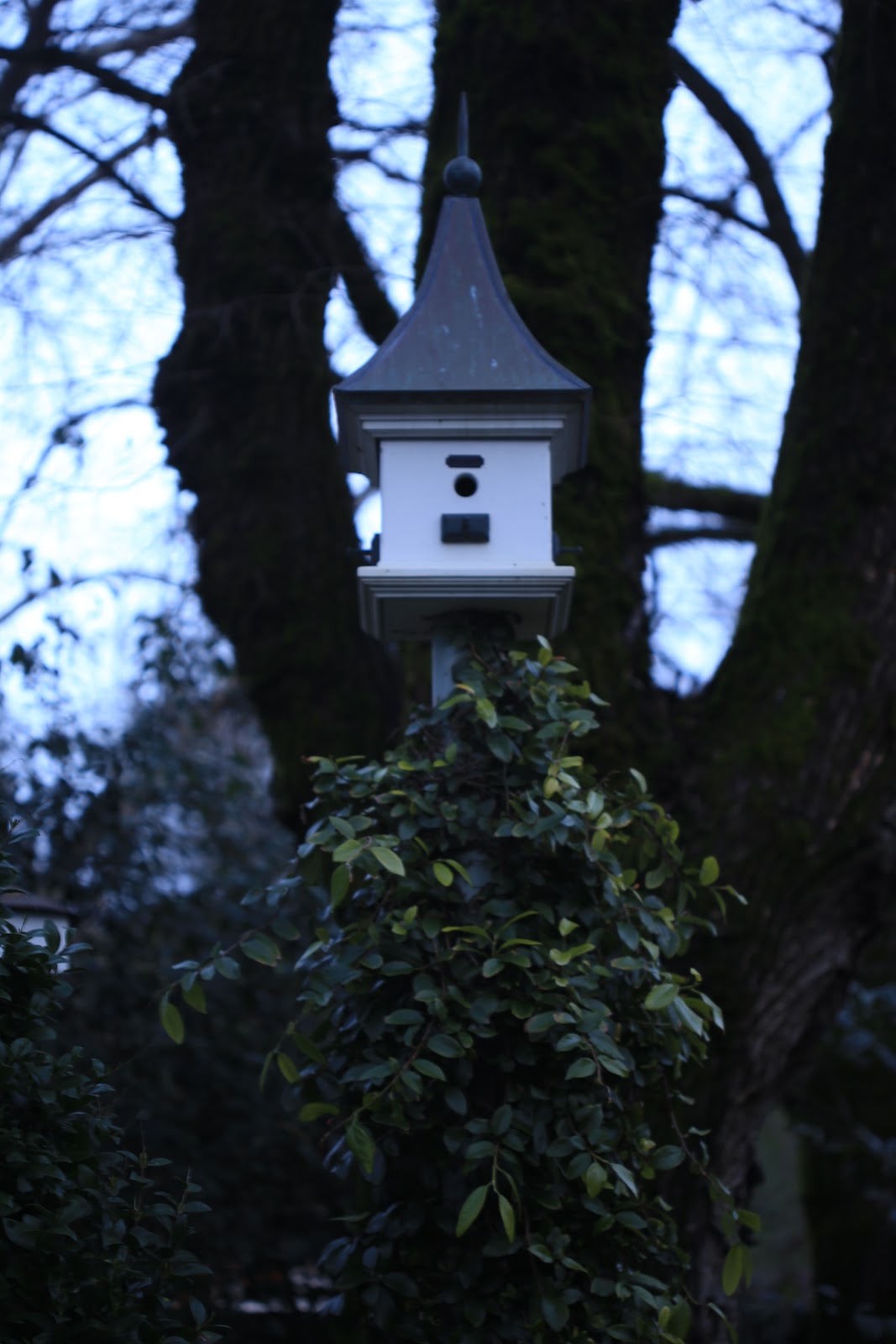 A Favorite Little Charming Bed And Breakfast In Calistoga French