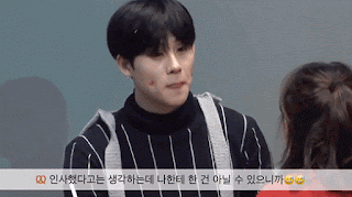 ExcitableArcticElephant-size_restricted.