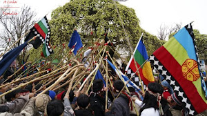 Libertad a los Presos Políticos Mapuche!