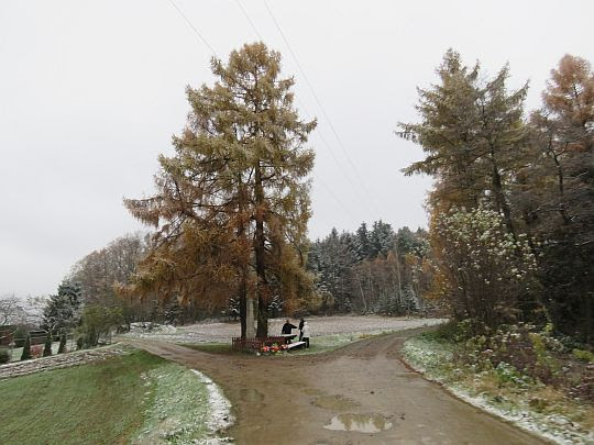 Rozejście dróg. Rozejście dróg.