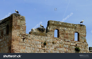 Storks in their nests, nests on the wall of the Castillo de Escalona, Toledo, white stork (Ciconia ciconia), Its plumage is mostly white with black on the wings, migratory bird, carnivorous bird, Storks in their nests, nests on the wall of the Castillo de Escalona, Toledo, white stork (Ciconia ciconia), Its plumage is mostly white with black on the wings, migratory bird, carnivorous bird,