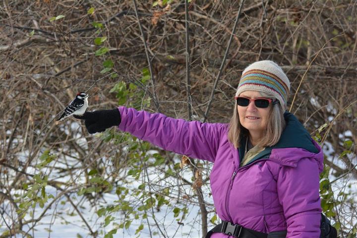 ottawa area birding ottawa river west with jc birding ottawa area birding ottawa river west with jc birding