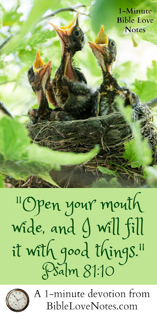Psalm 81:10, God wants to give us more than we ask Psalm 81:10, God wants to give us more than we ask