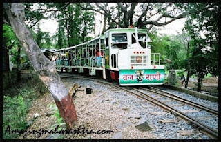 Van Rani Sanjay Gandhi National Park Borivali Mumbai