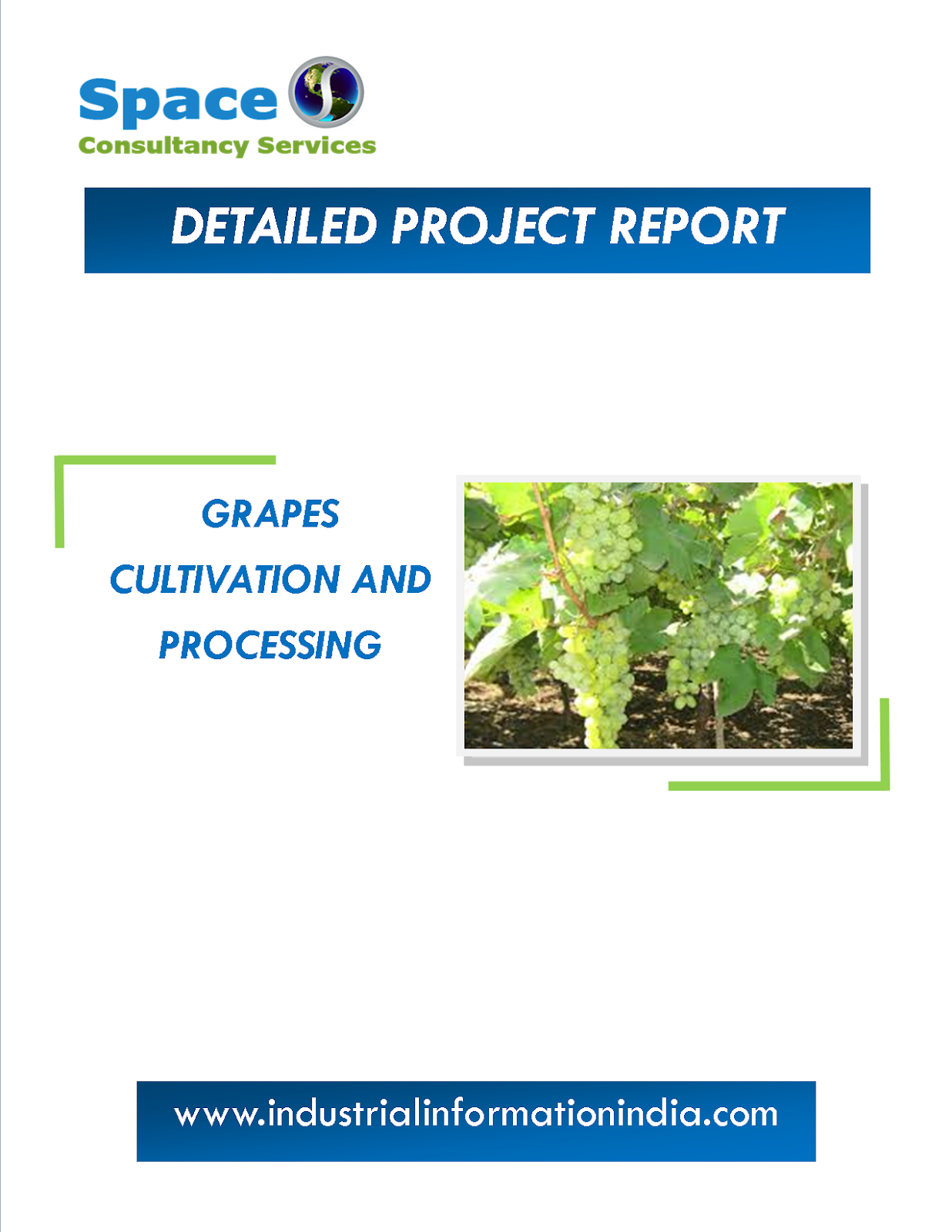 Grapes Cultivation and Processing Project Report Space Consultancy