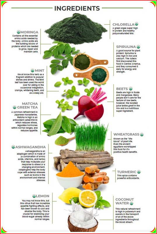 Organifi Green Juice 2018 Review, With Testimony White Champaca