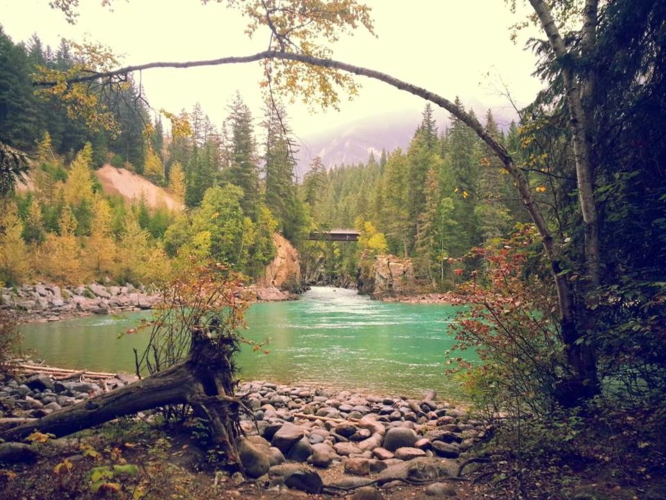 Fraser R. at Mt Robson, B.C.