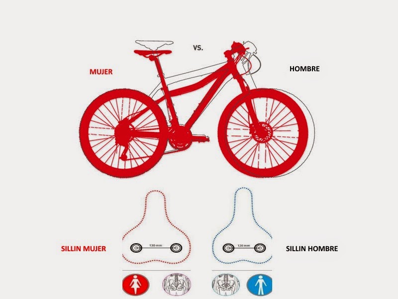 Diferencia De Bicicletas De Hombre Y Mujer 2025