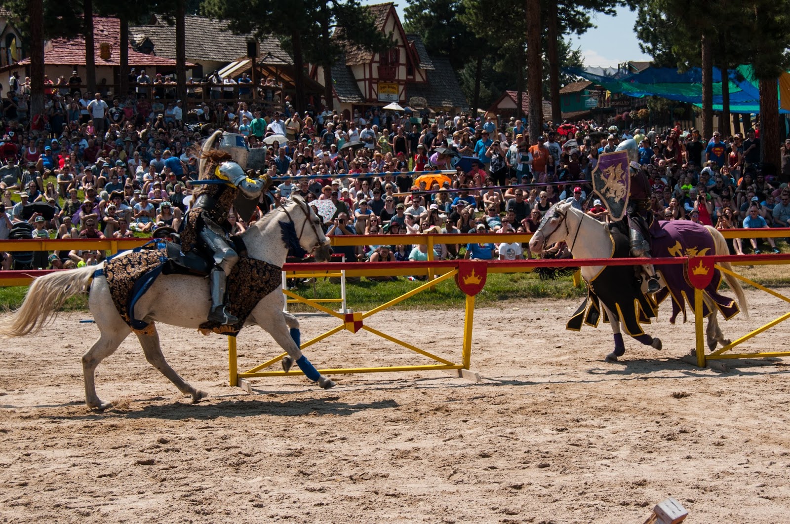 Colorado "Renaissance Festival" Blast from the Past!